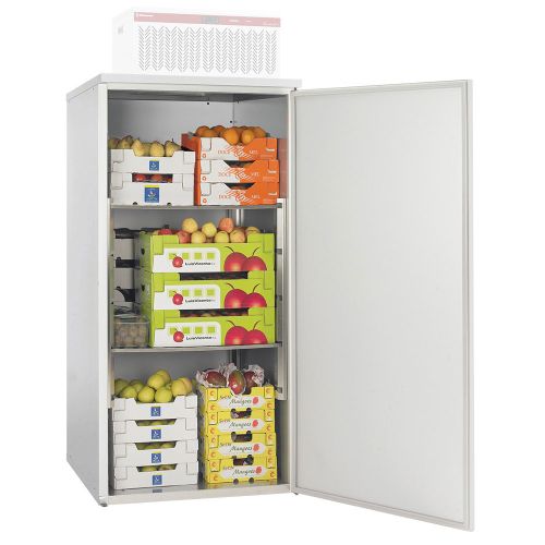 Minikühlzelle Lagerkühlschrank ASM 200