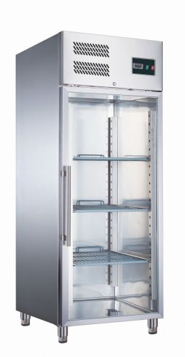Gewerbekühlschrank mit Glastür Modell EGN 650 TNG